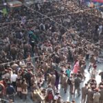 WhatsApp_Image_2025-11-14_at_2.50.48_PM__1_